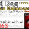 Mad Dog TAB / Yngwie Malmsteen Sweep イングヴェイ マッドドッグ スウィープ基礎練習ゆっくり【Guitar Sweep Vol.23】
