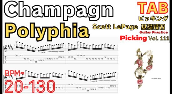 【TAB】Champagne - Polyphia Scott LePage Part ポリフィア シャンパン ギターソロ ギター速弾き練習【Guitar picking Vol.111】