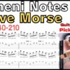 Tumeni Notes TAB / Steve Morse Guitar Picking ギター スティーブ･モーズ ピッキング基礎練習ゆっくり【Guitar picking Vol.160】