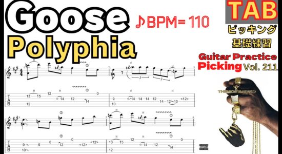 Goose TAB - Polyphia Guitar ポリフィア グース ギター速弾き練習【Guitar picking Vol.211】BPM20-110